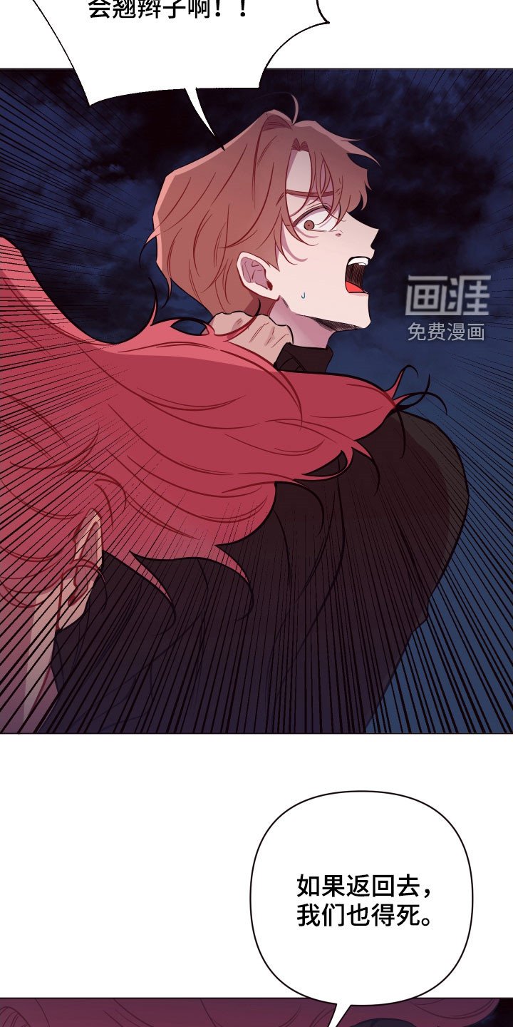 第40章：逃之夭夭