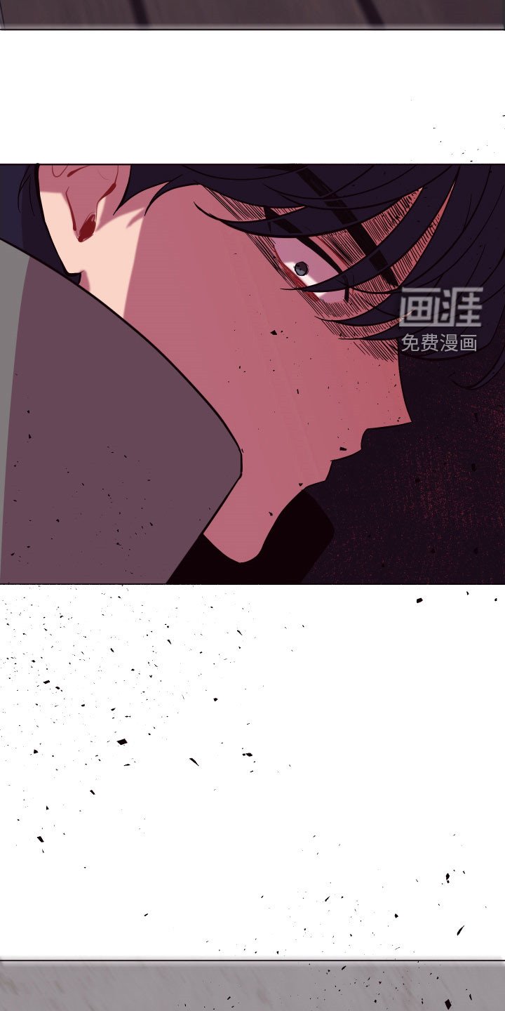 第40章：逃之夭夭