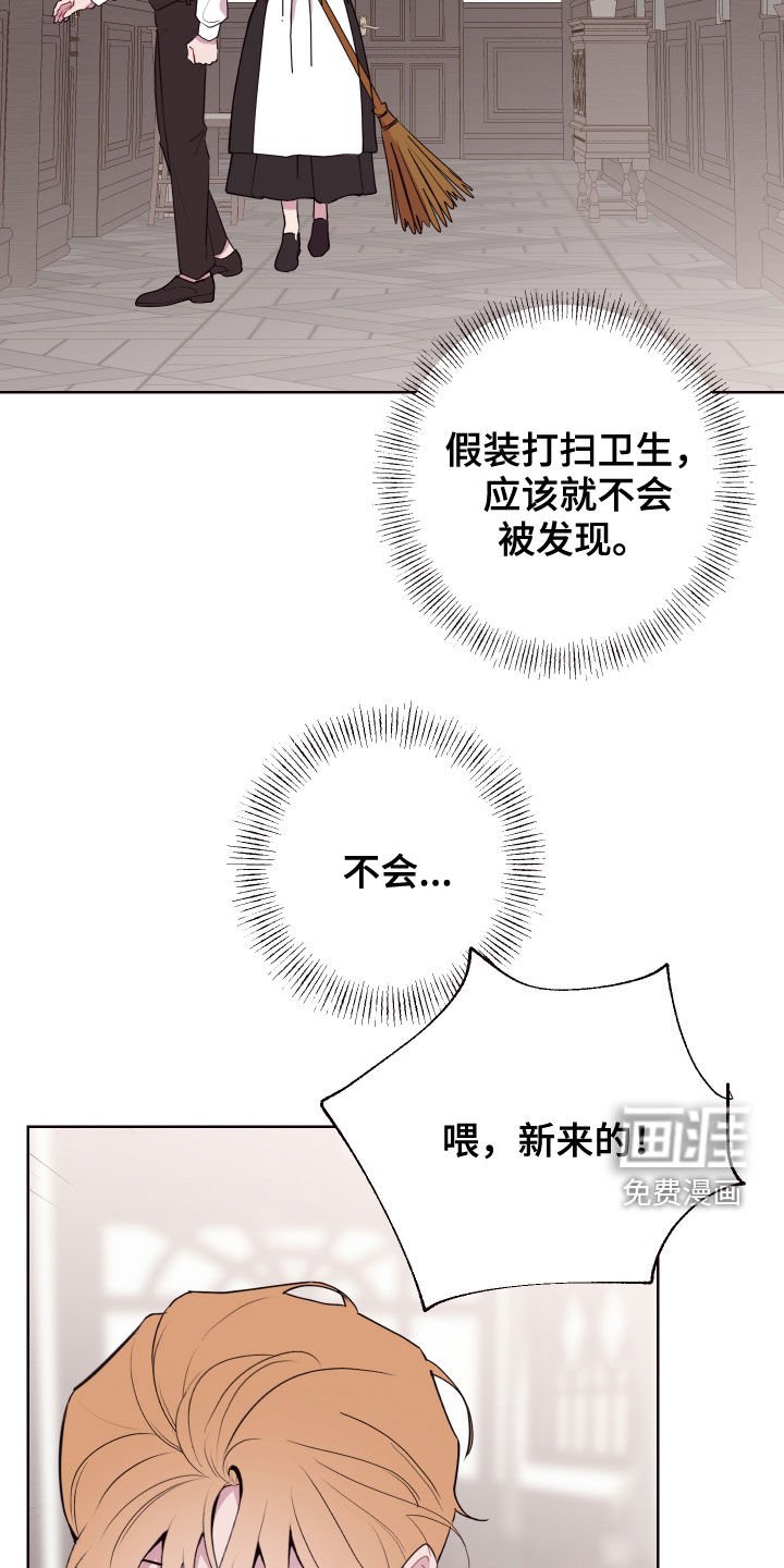 第55章：白忙活