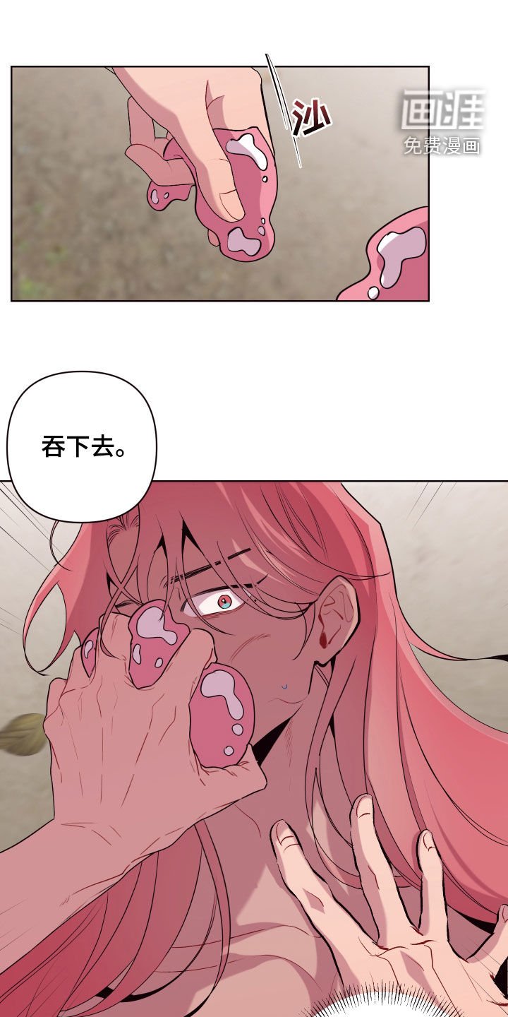 第59章：没有解药