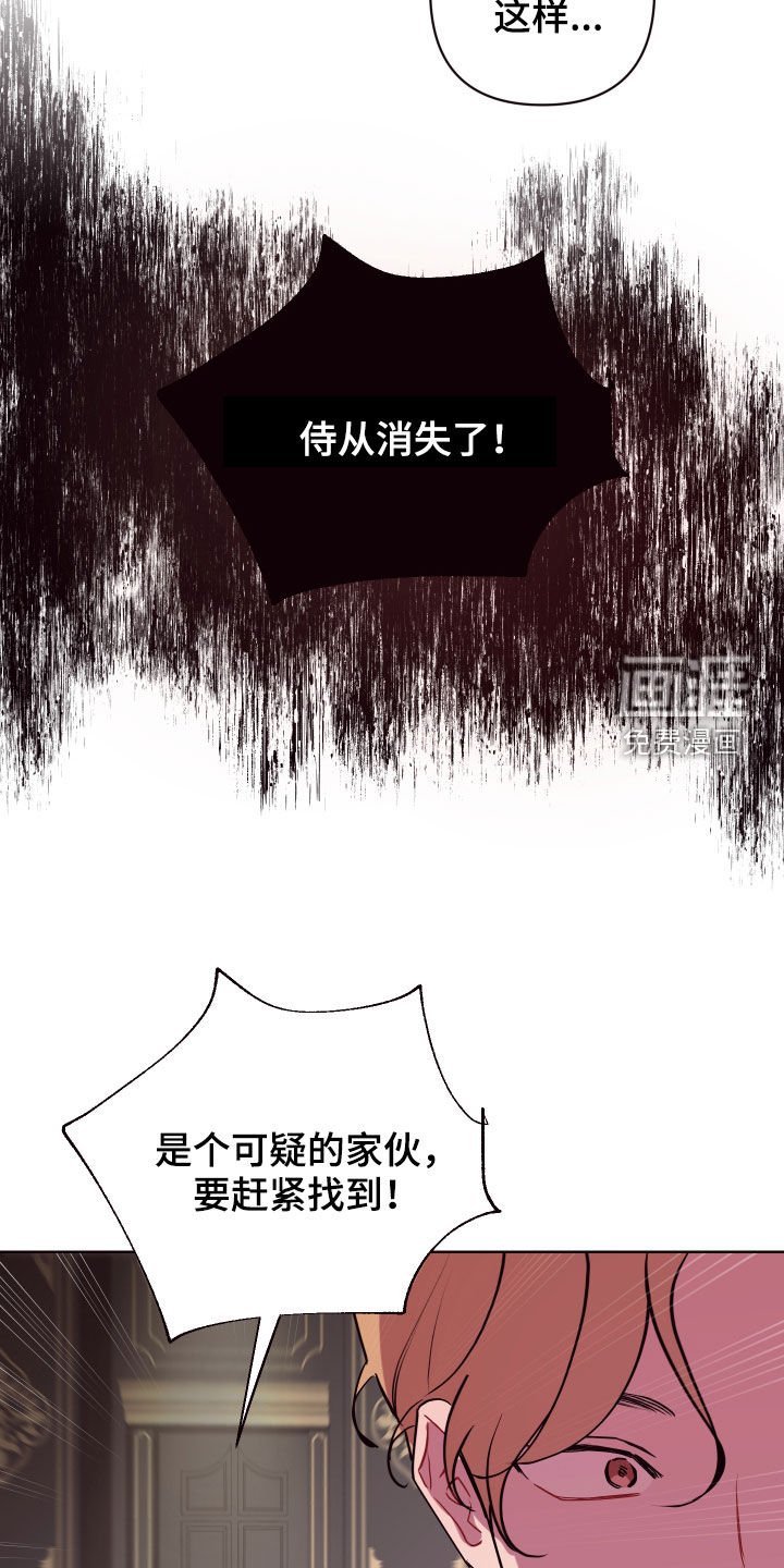 第60章：真假侍女