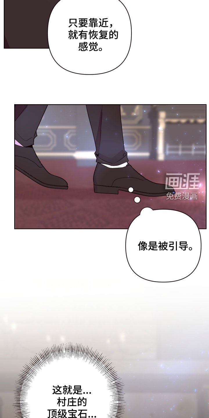 第60章：真假侍女
