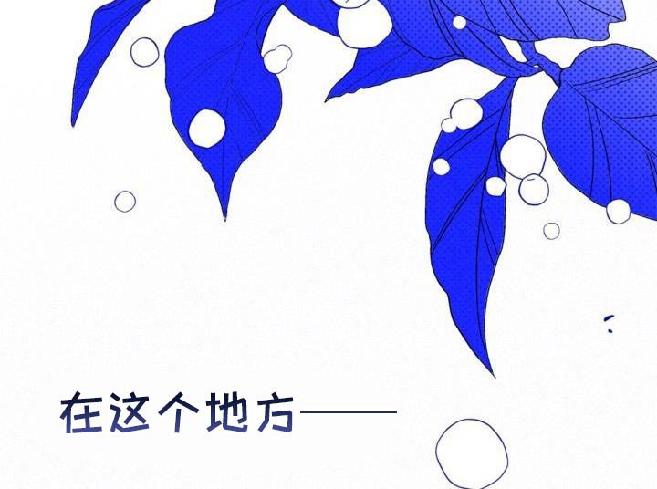 第101章：这么多