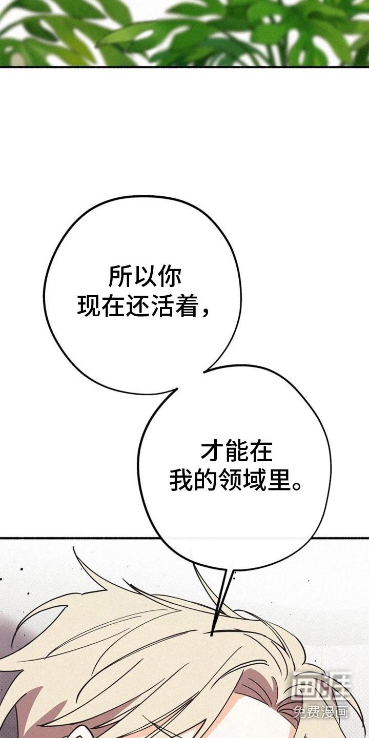 第102章：这个地方