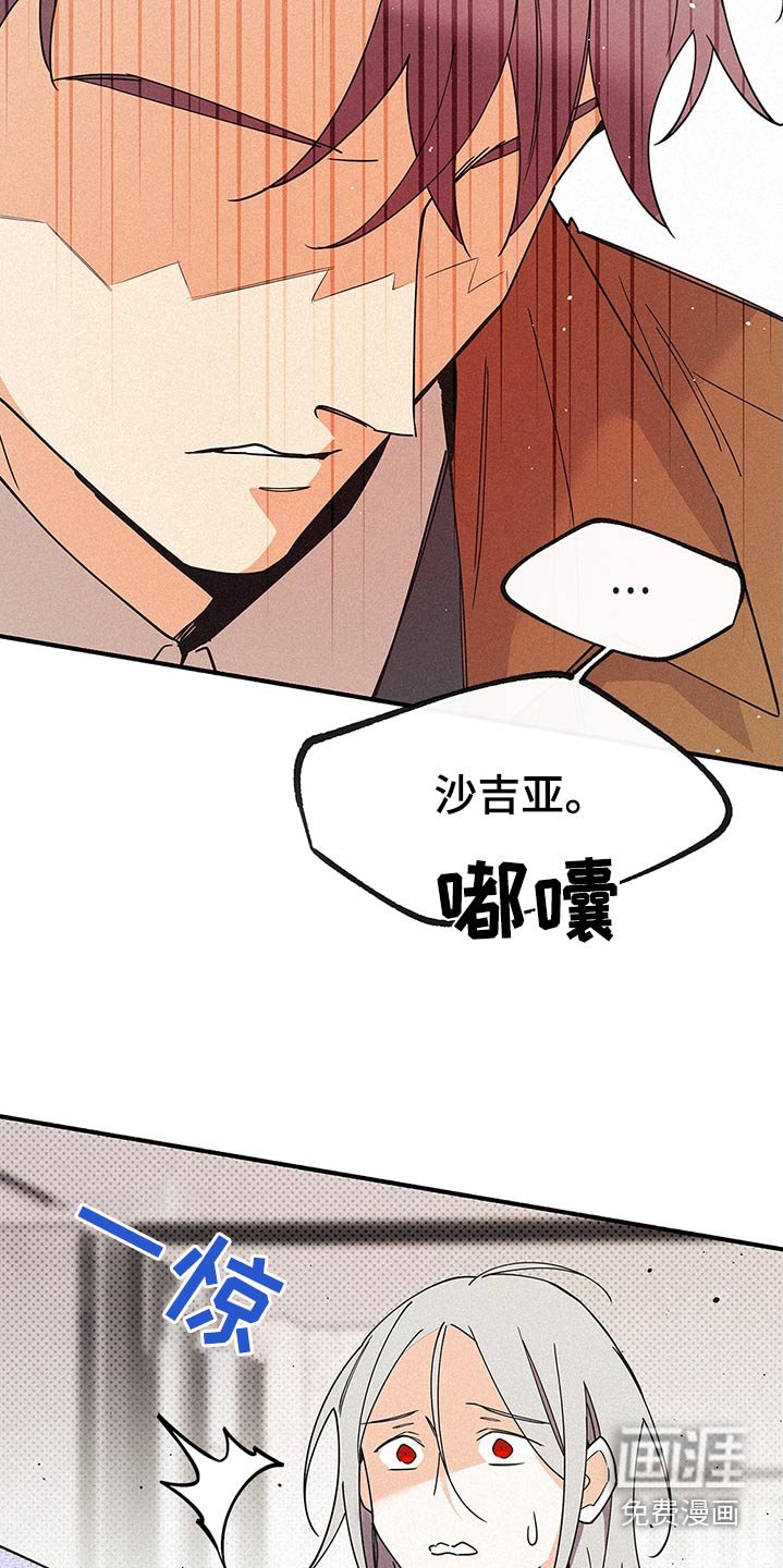第113章：来了