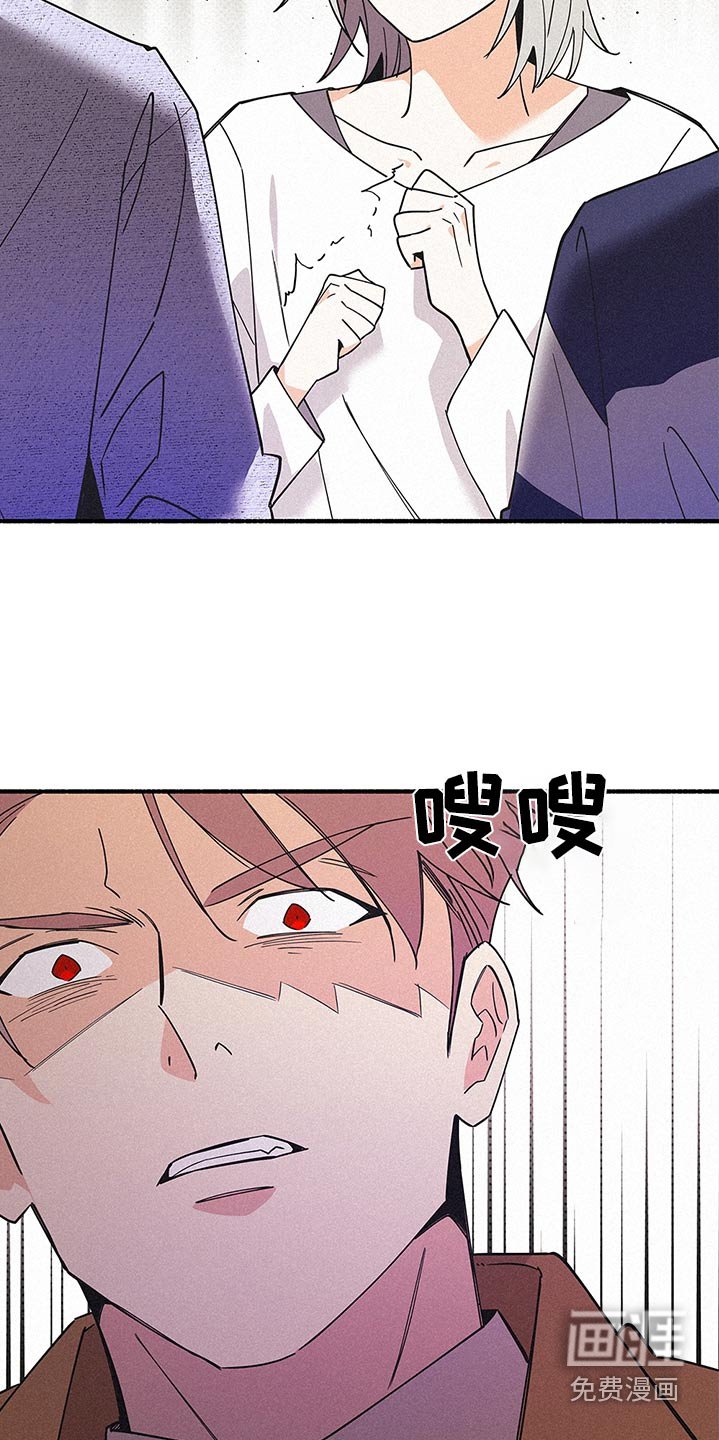 第113章：来了