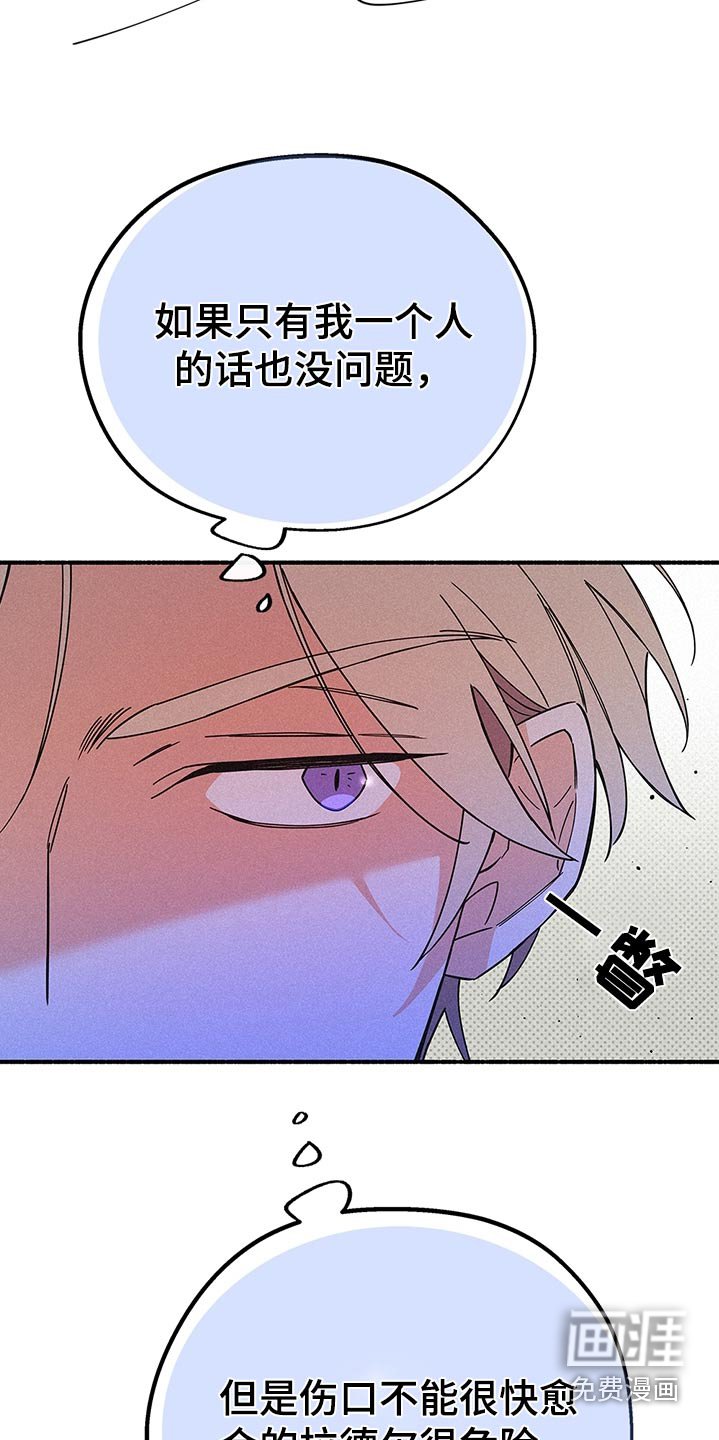 第113章：来了