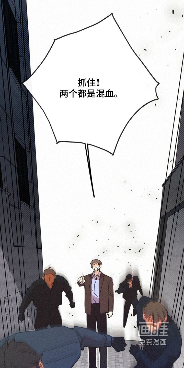 第116章：要阻止