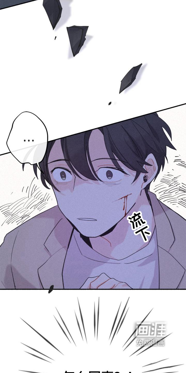 第11章：回家