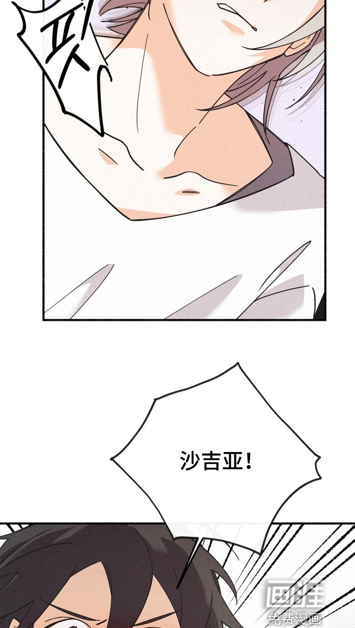 第120章：什么能力