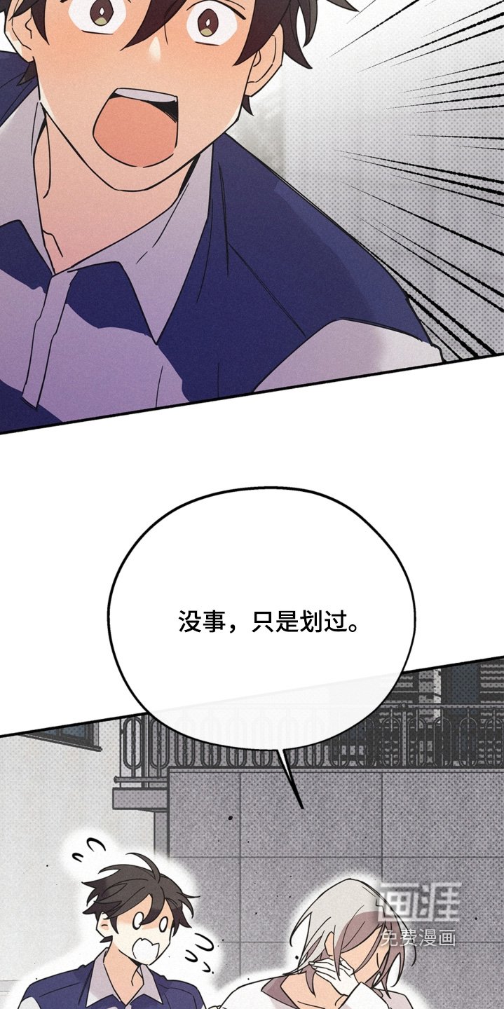 第120章：什么能力