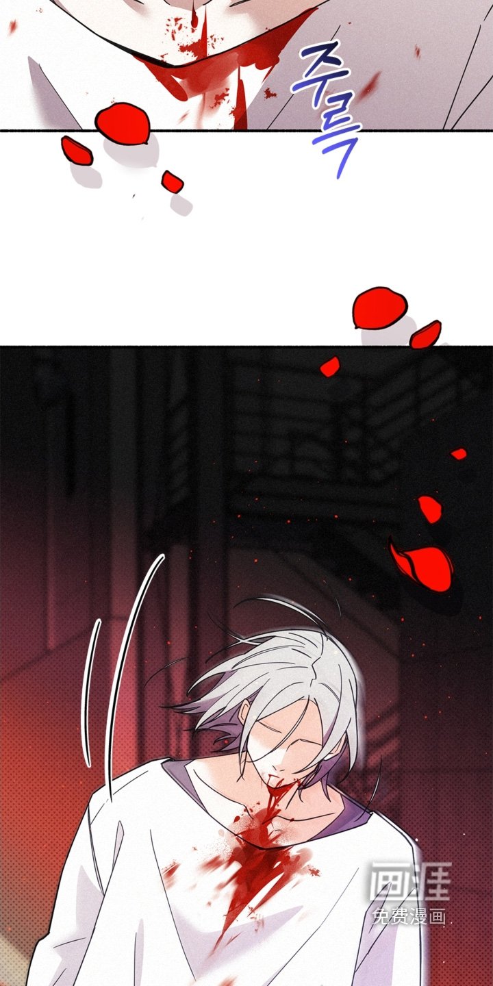 第120章：什么能力