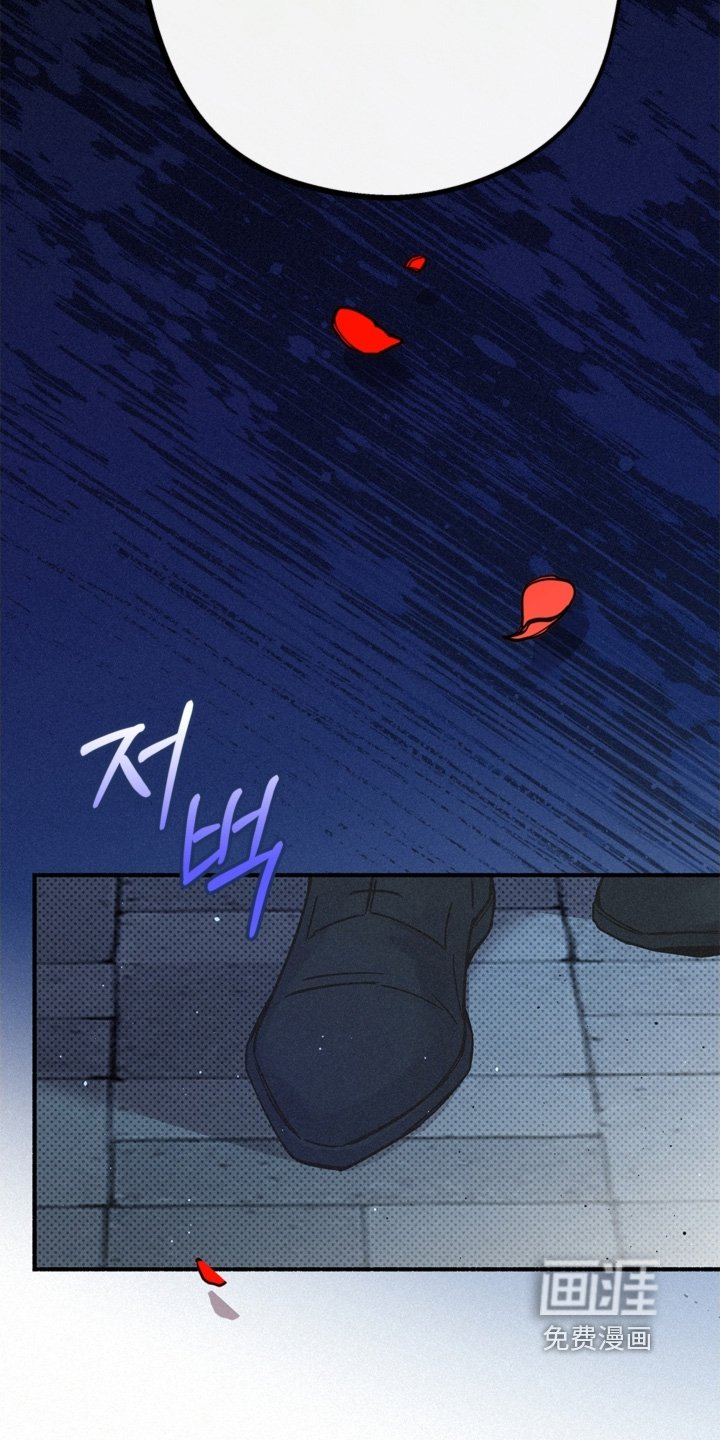 第120章：什么能力