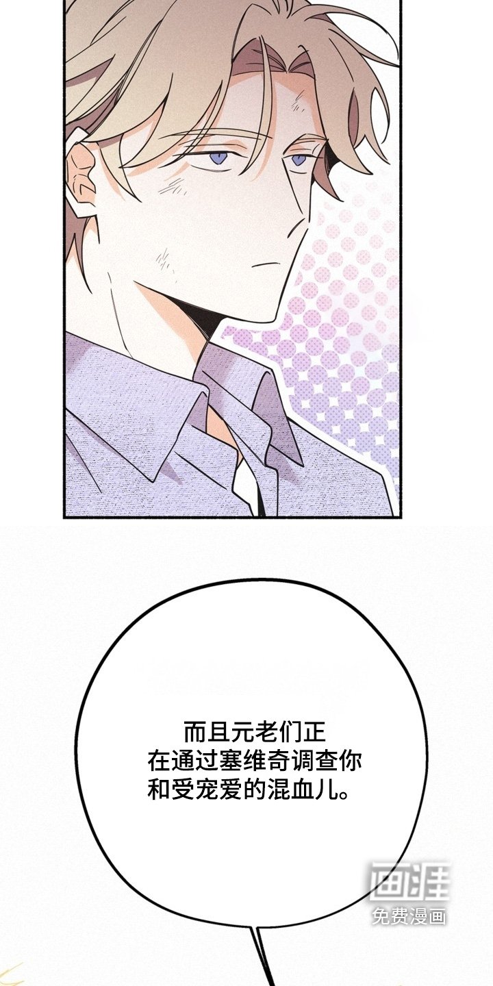 第126章：太嚣张了