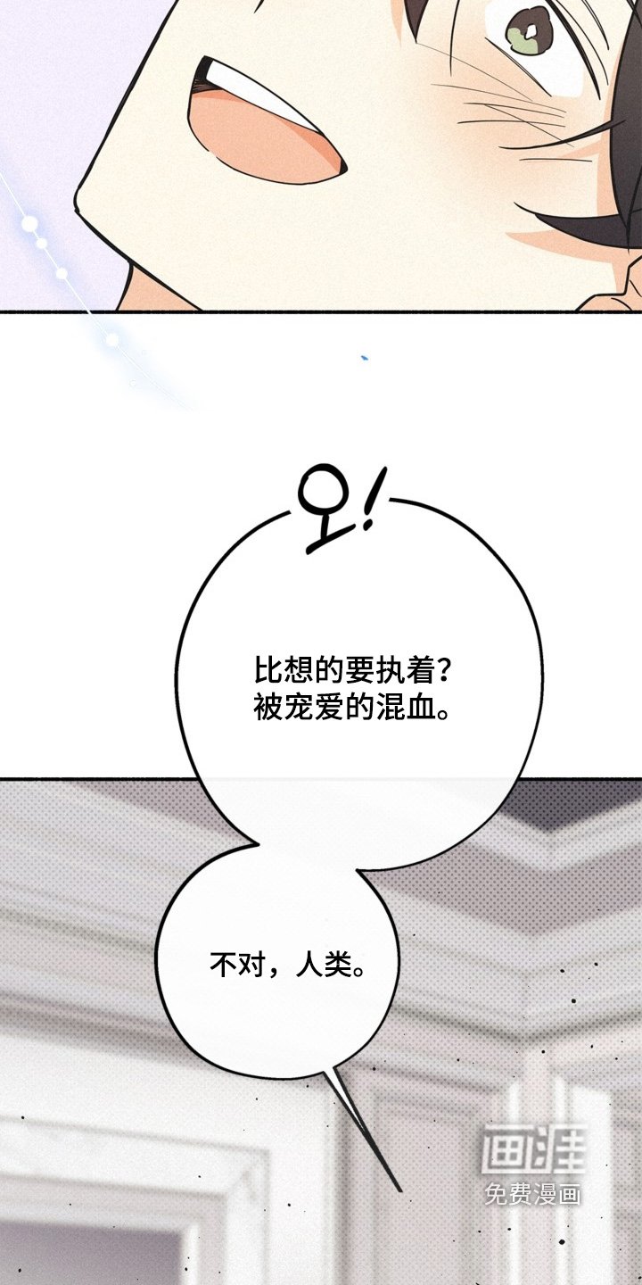 第128章：转告他们