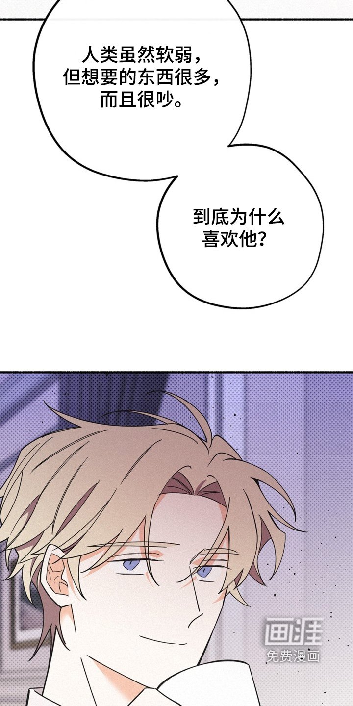 第129章：你是不是傻