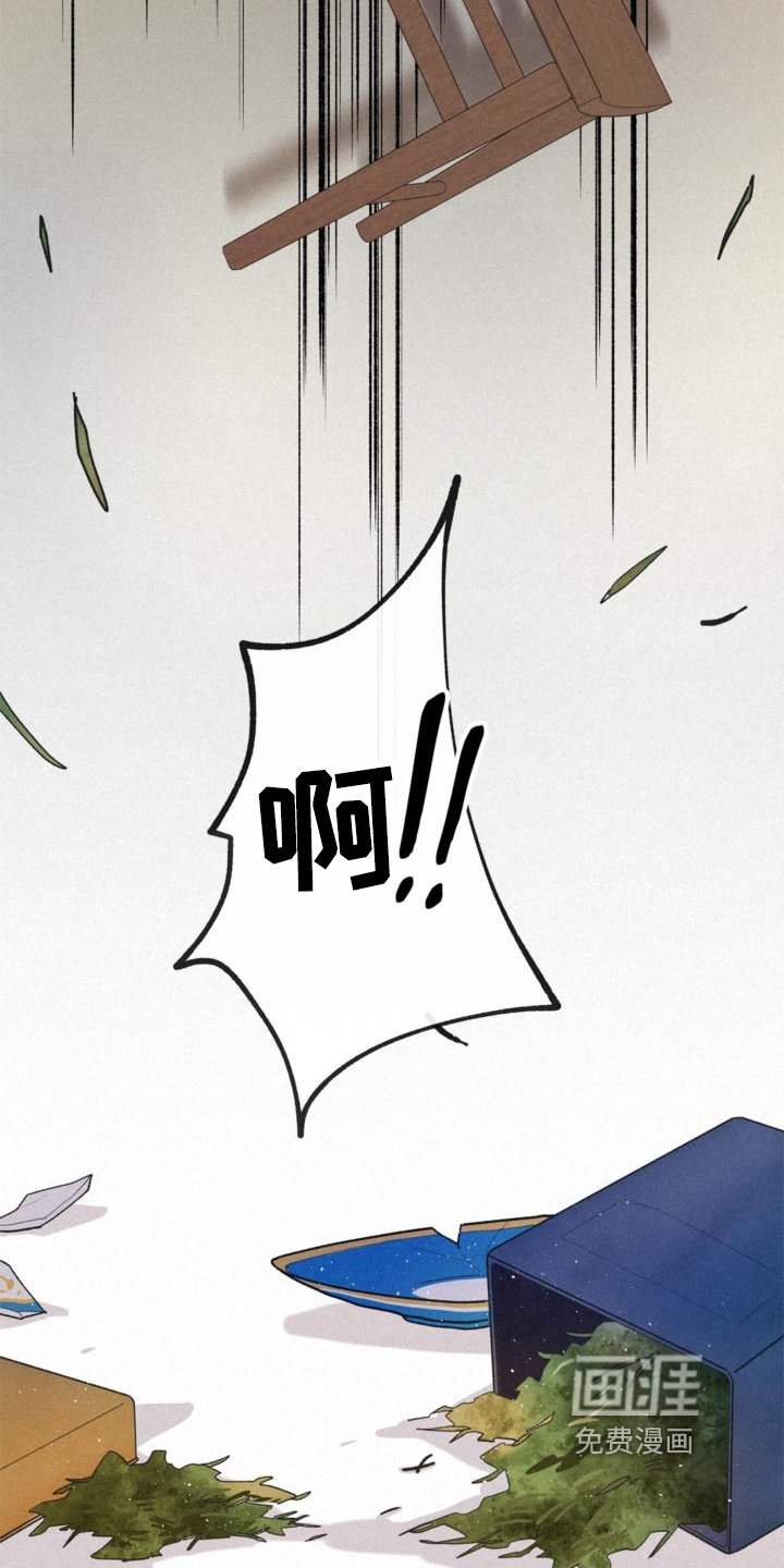 第13章：安排