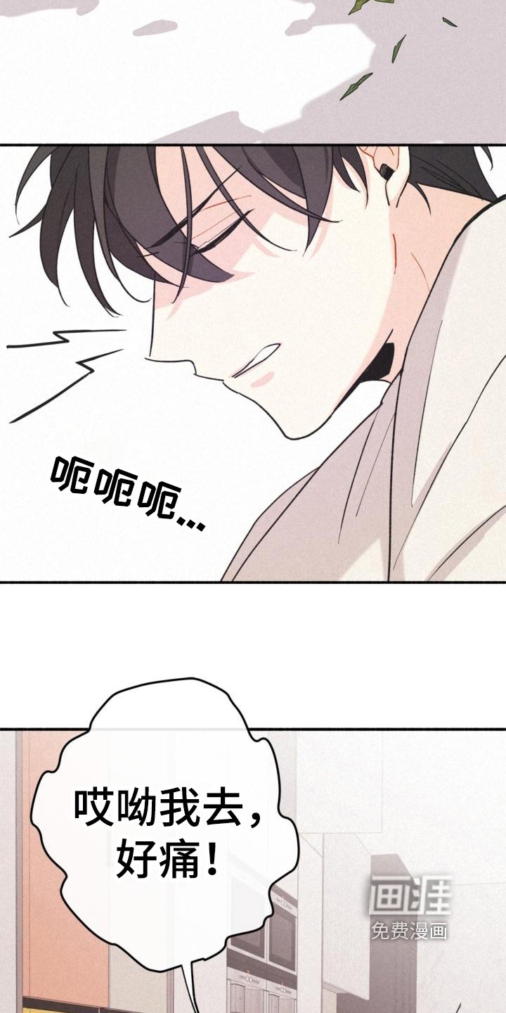 第13章：安排