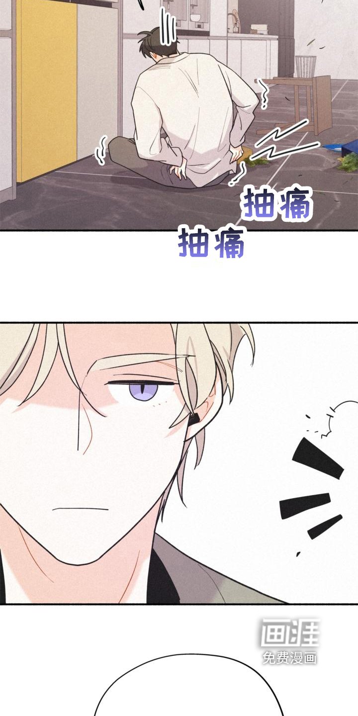 第13章：安排