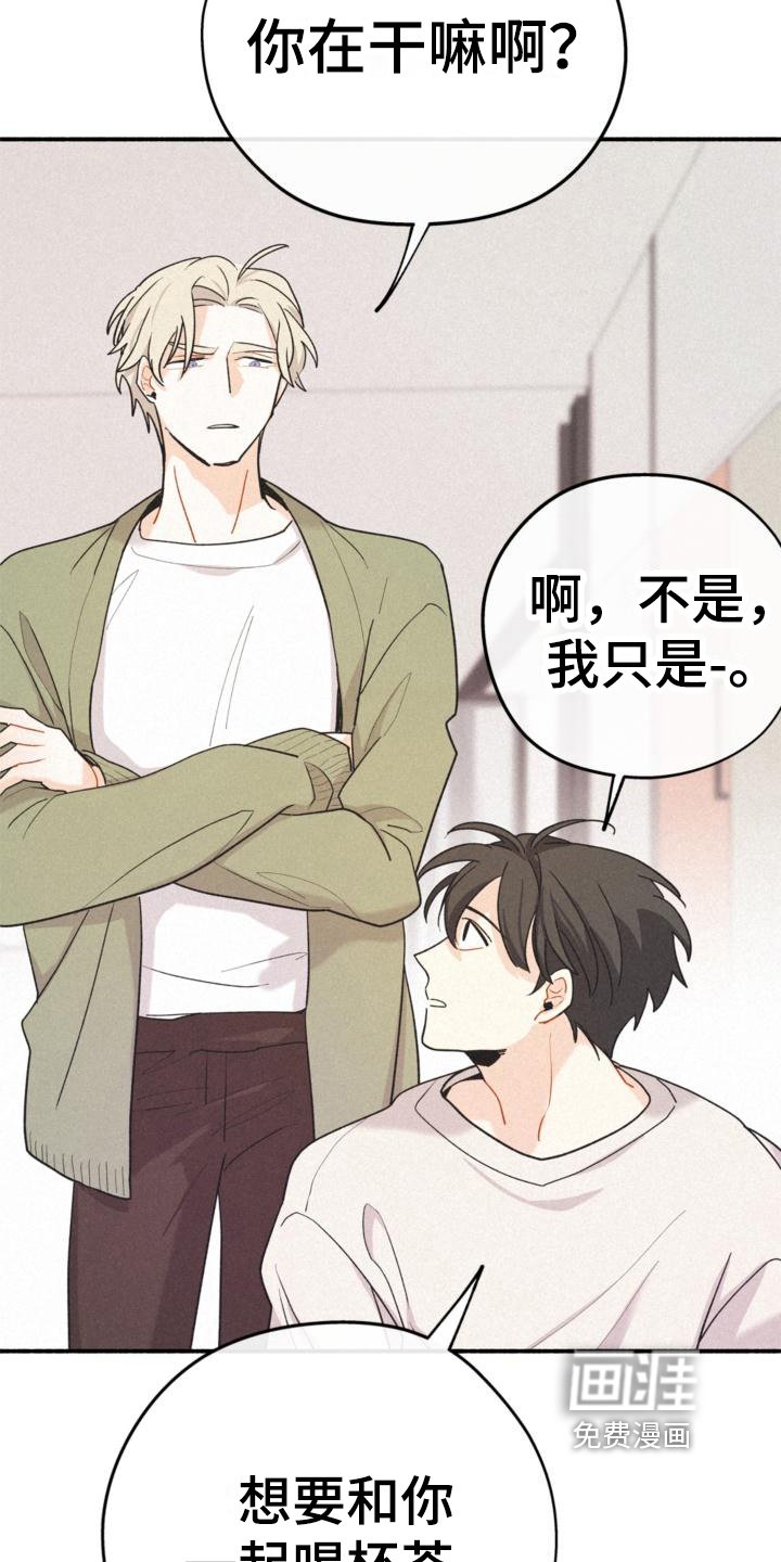 第13章：安排