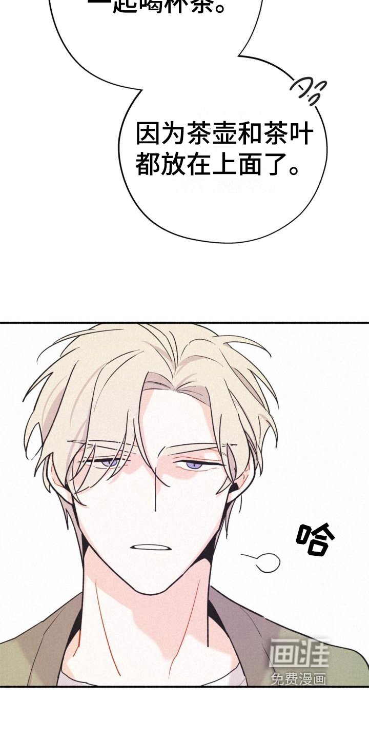 第13章：安排