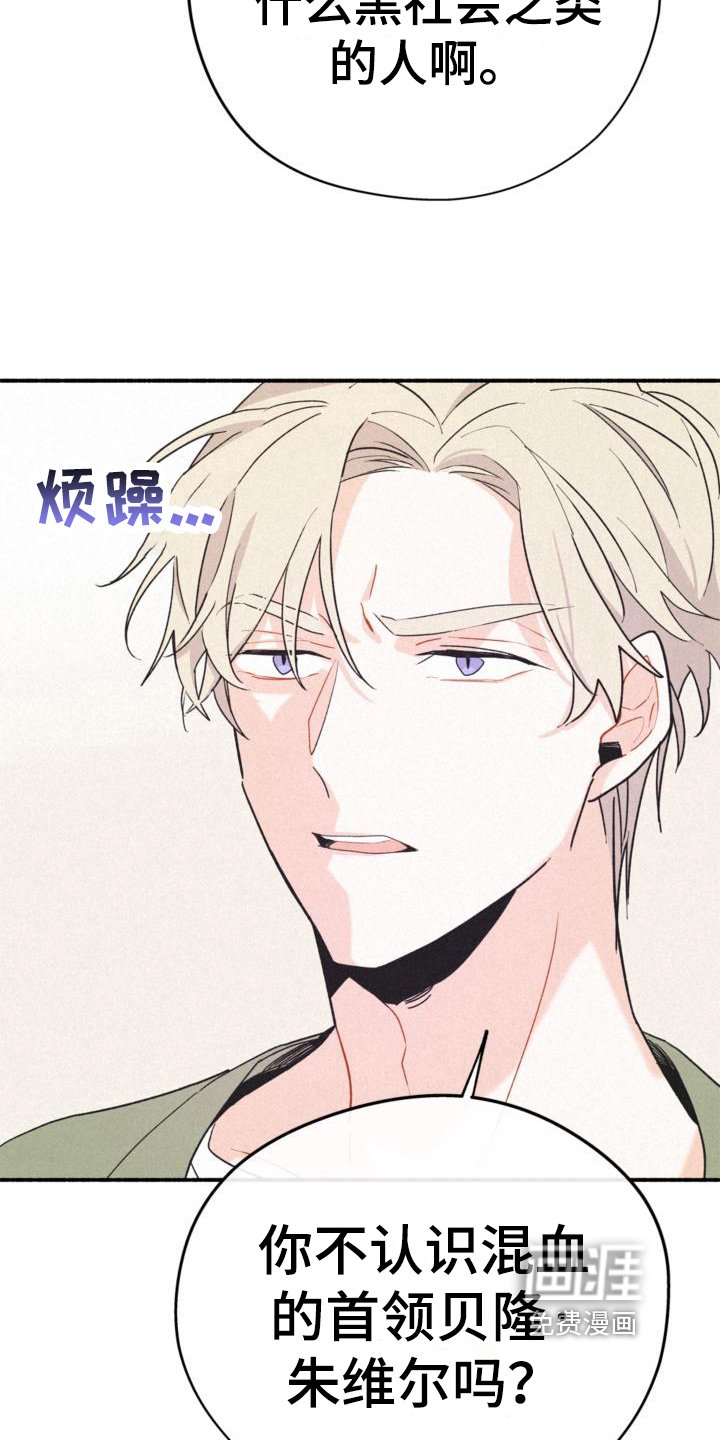 第15章：询问