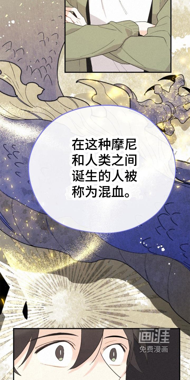 第16章：不知道