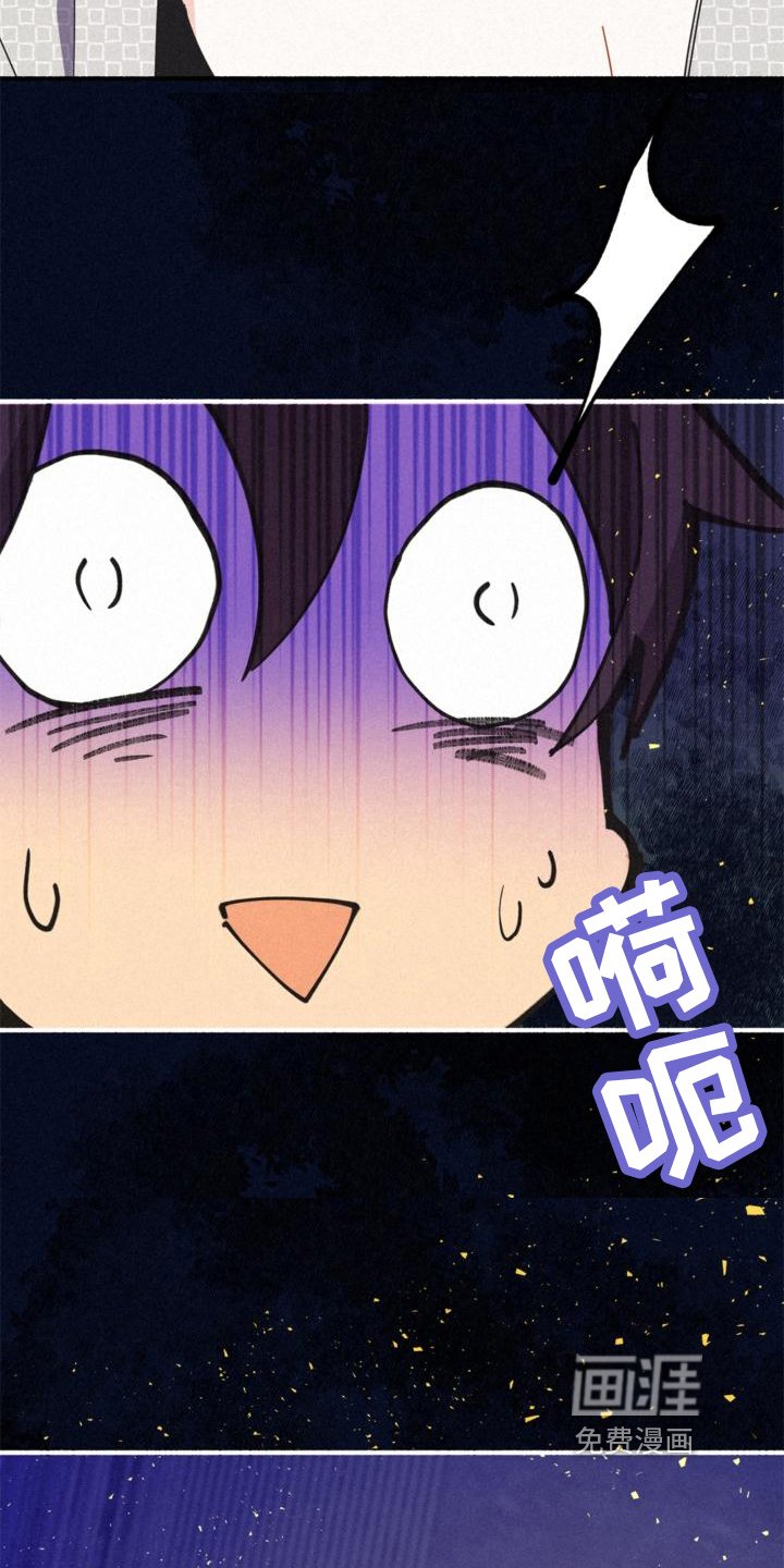 第23章：理解