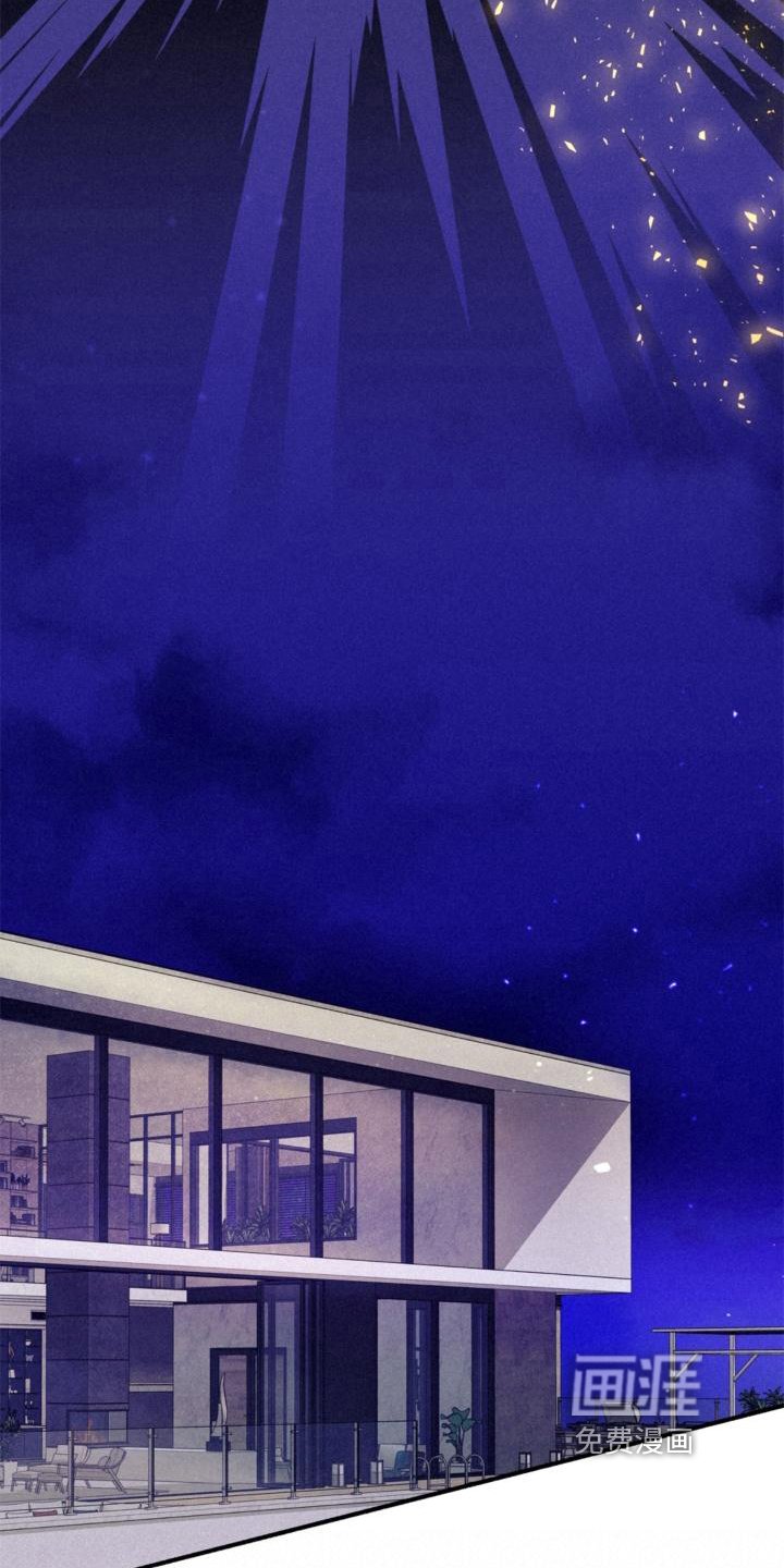 第23章：理解