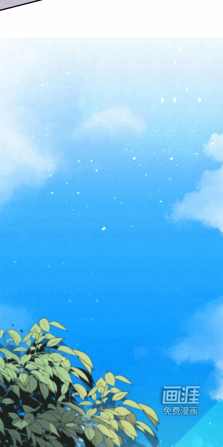 第23章：理解