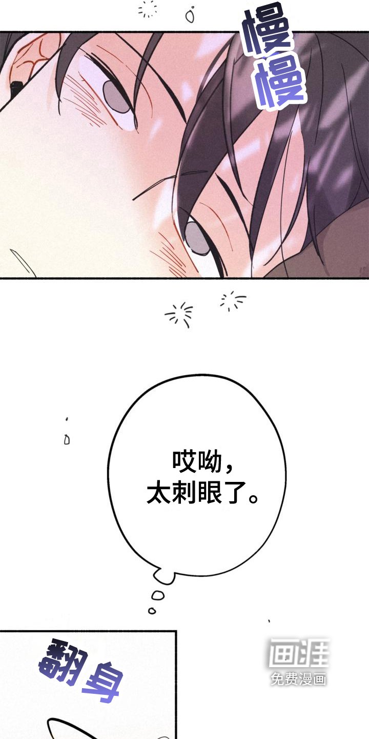 第23章：理解