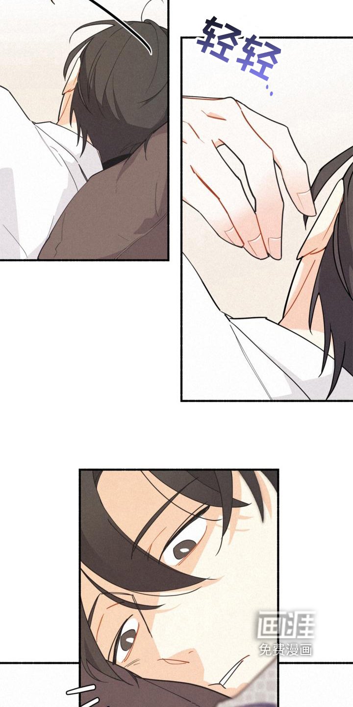 第23章：理解
