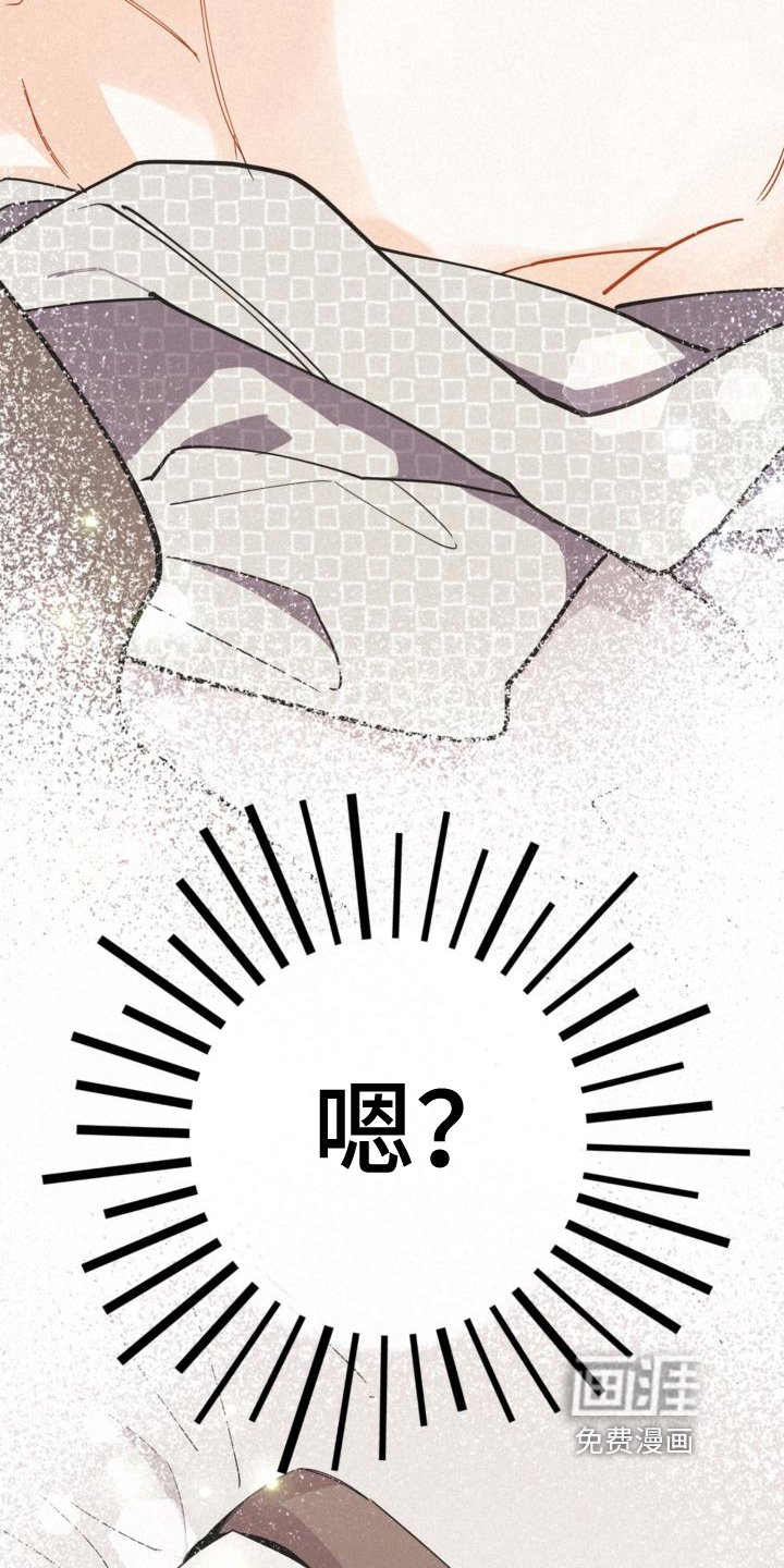 第23章：理解