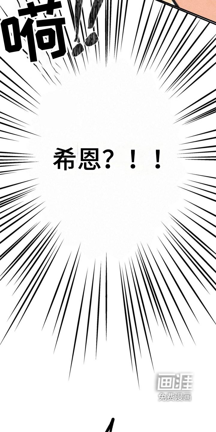 第23章：理解