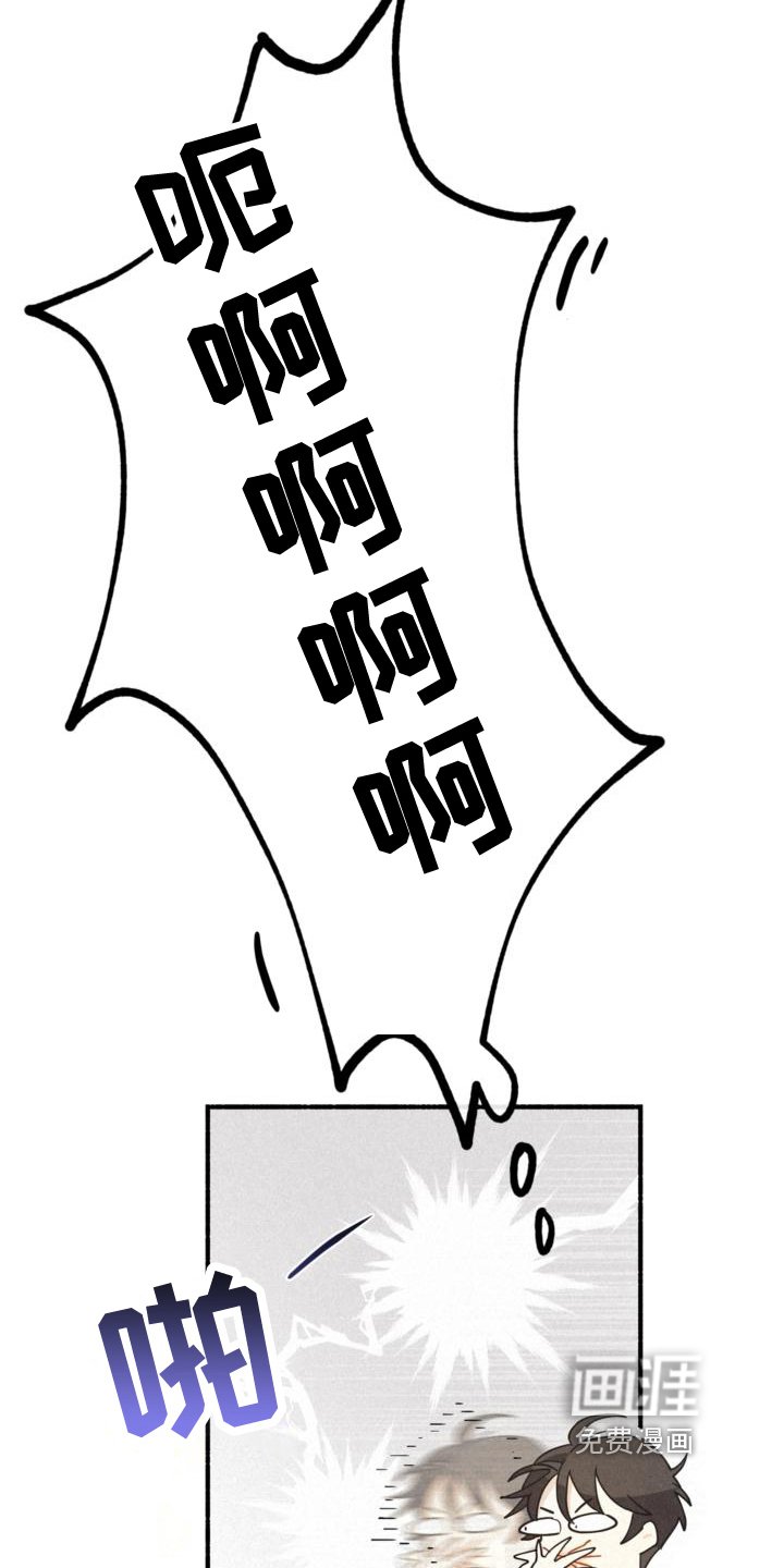 第23章：理解