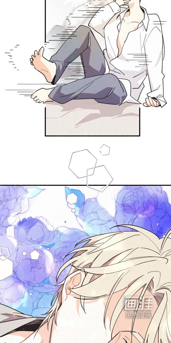 第23章：理解