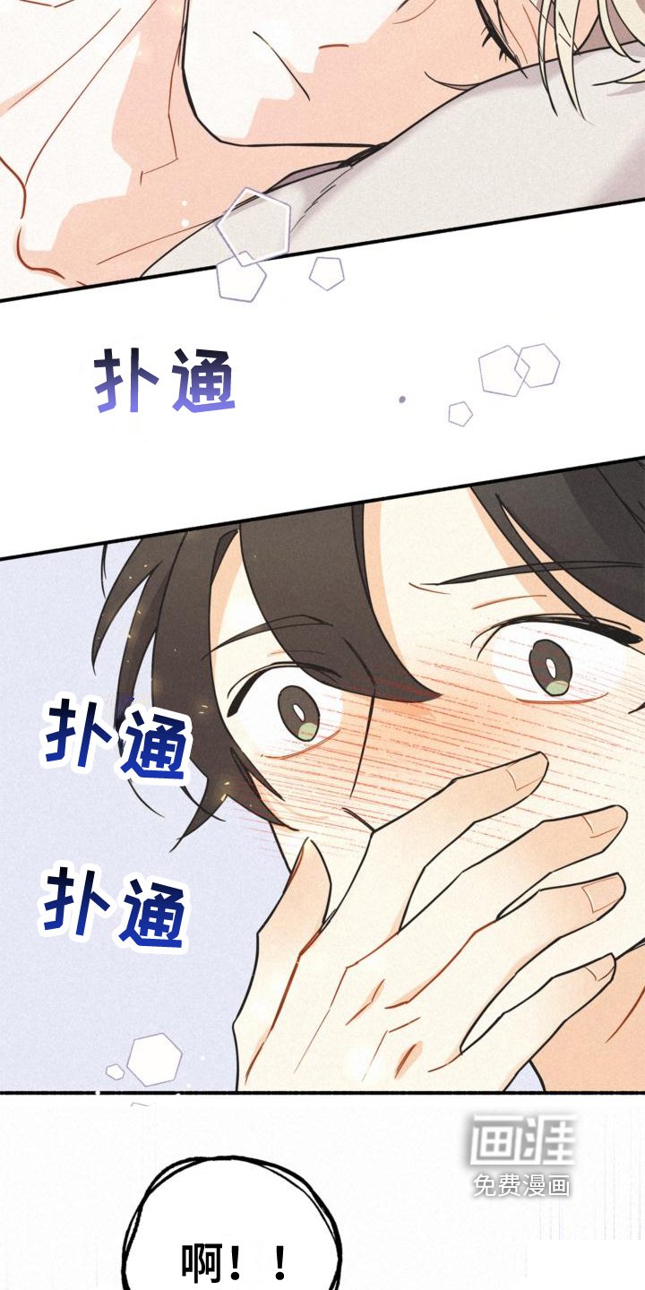 第23章：理解