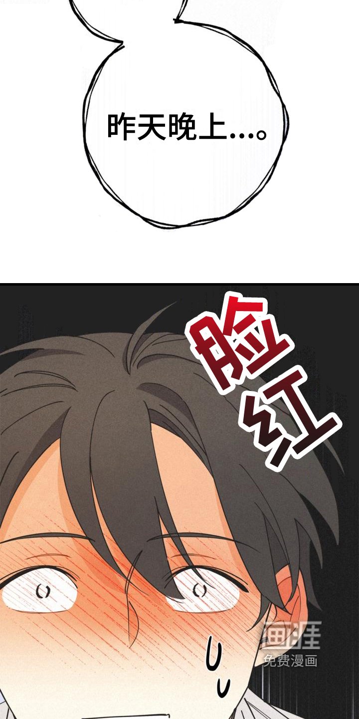 第23章：理解