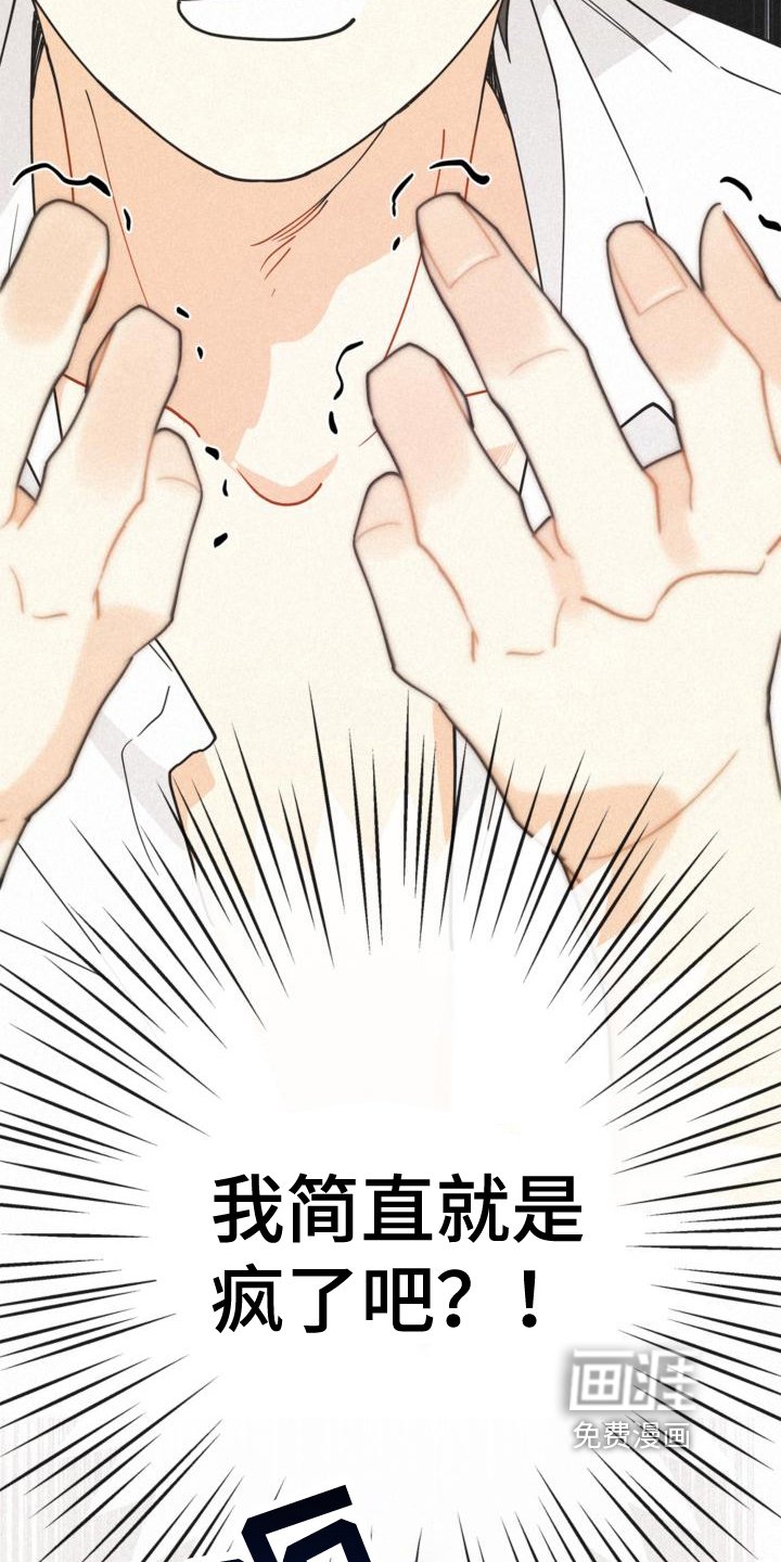 第23章：理解