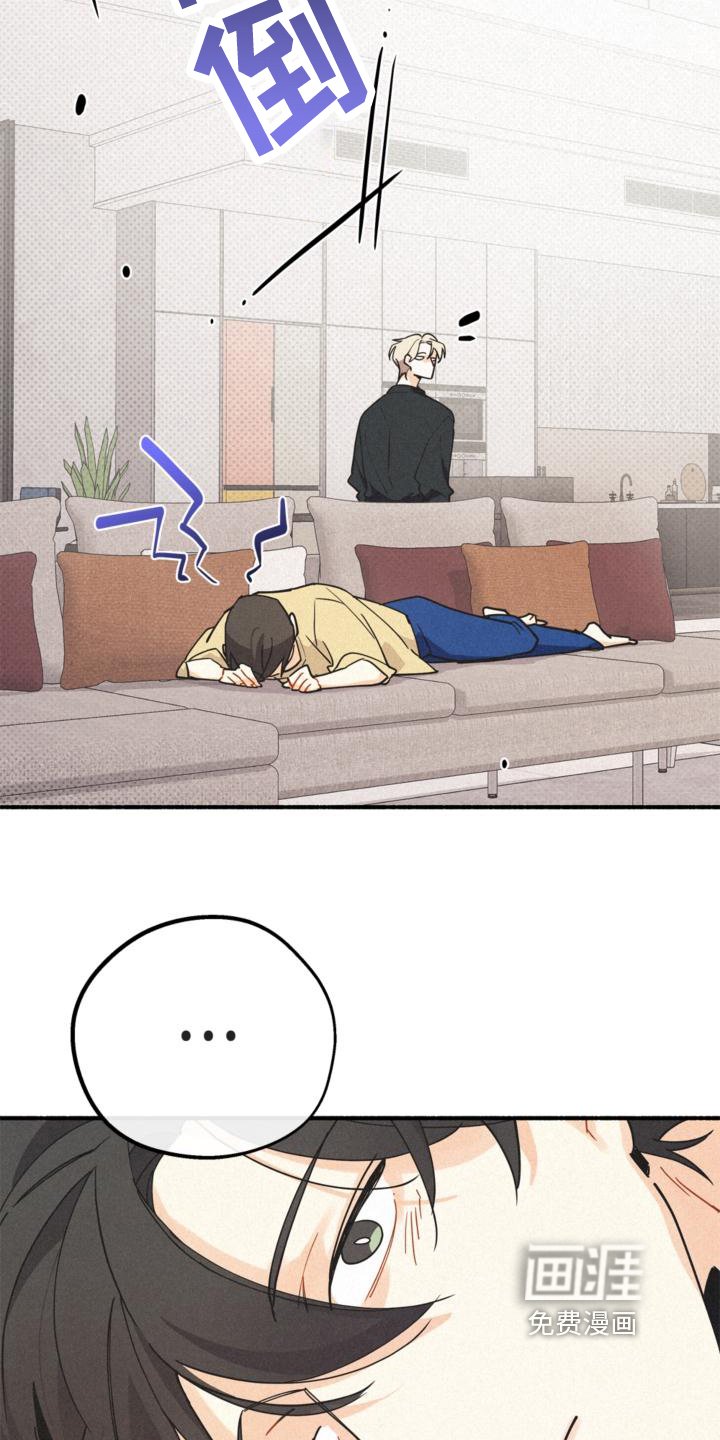 第24章：约定