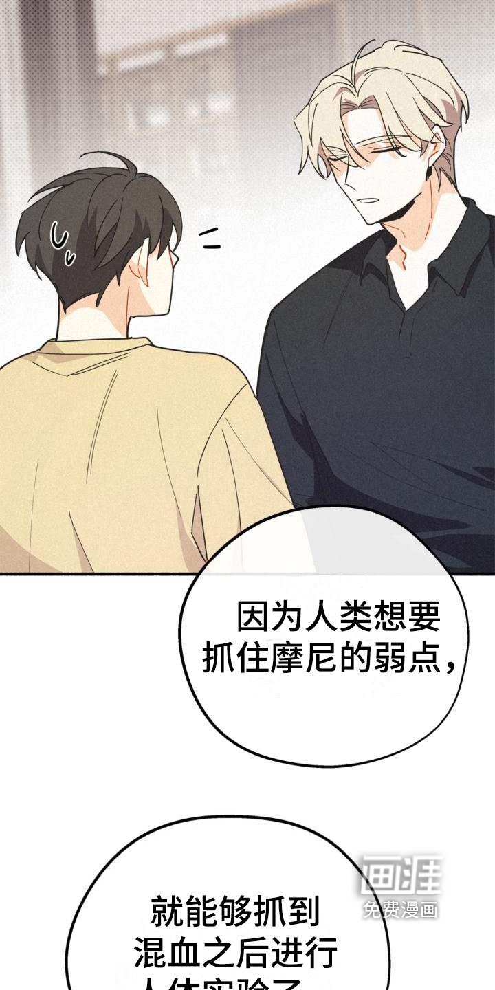 第25章：抱有期待