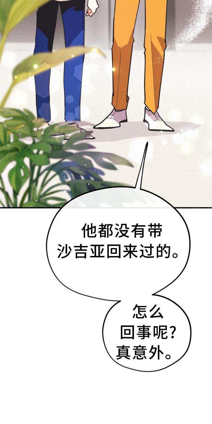 第26章：年龄