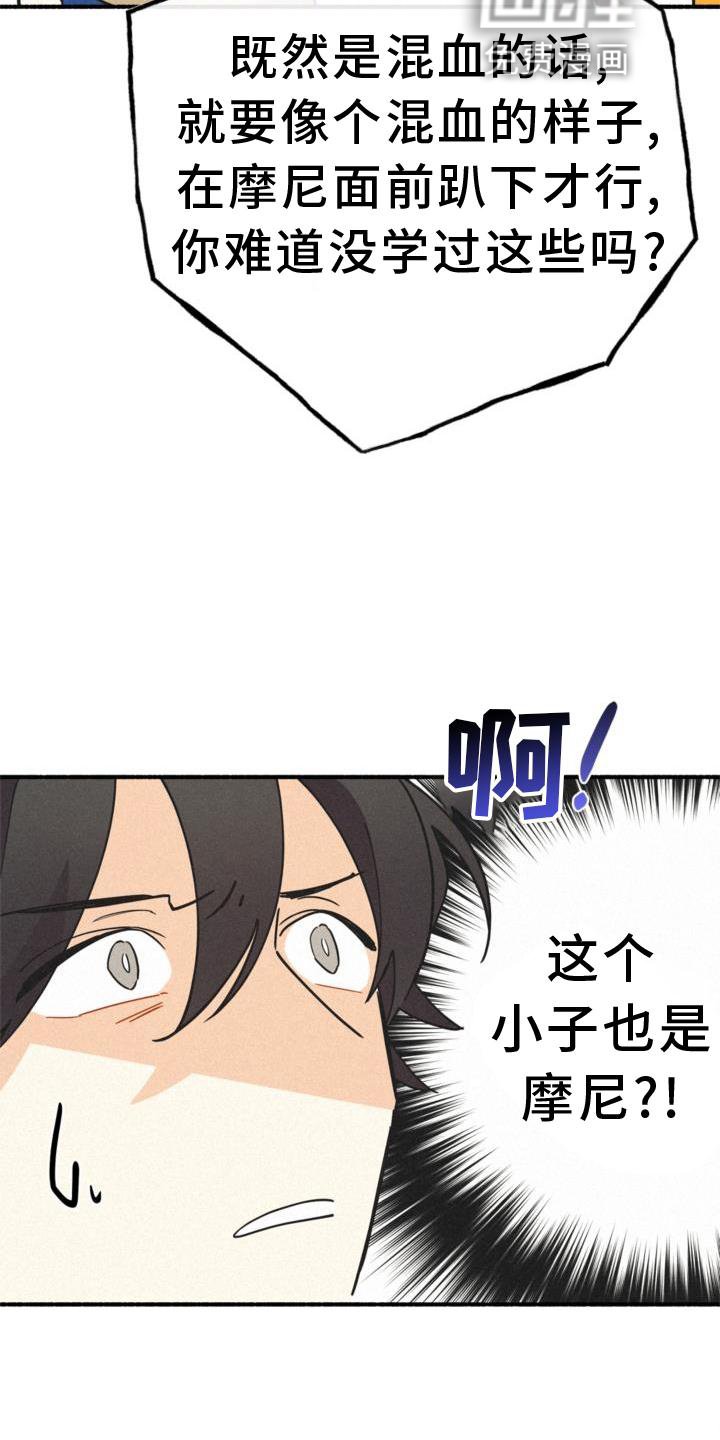 第26章：年龄