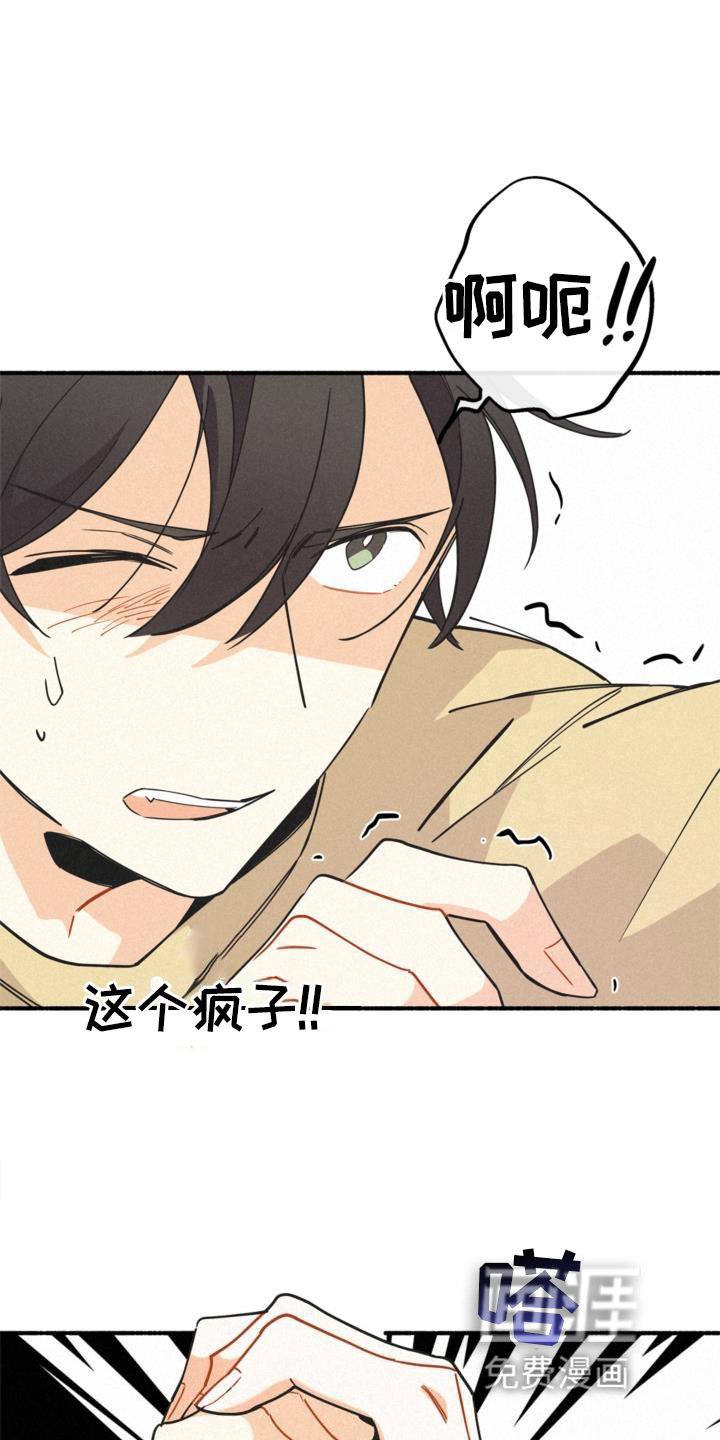 第26章：年龄