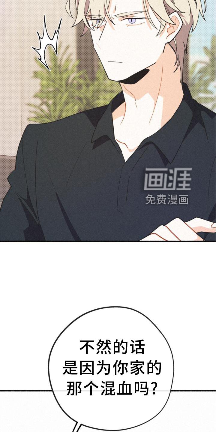 第27章：出言不逊