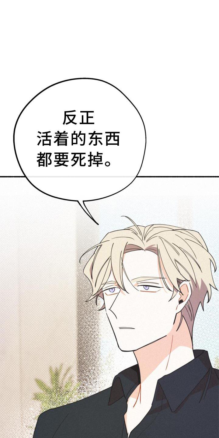 第28章：清楚
