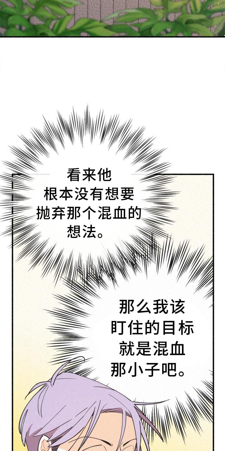 第28章：清楚