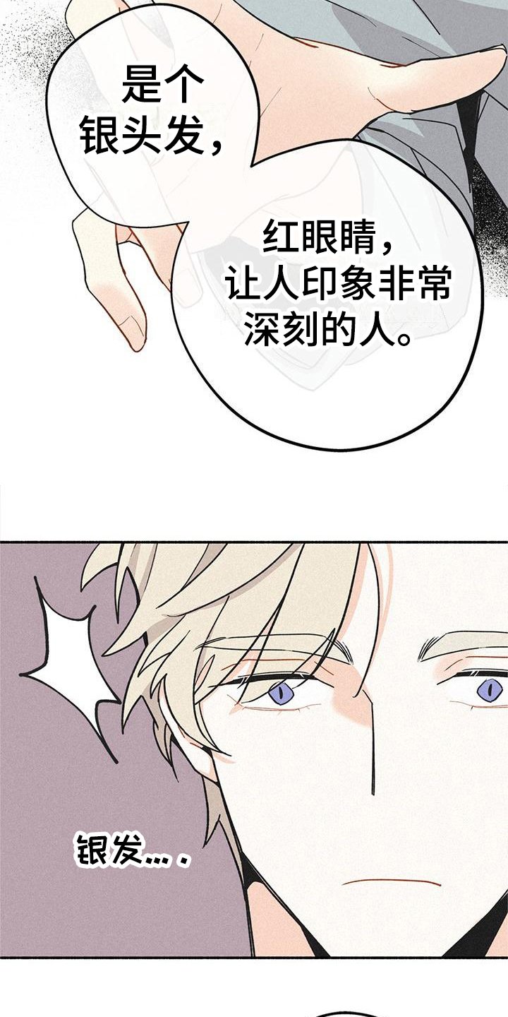 第2章：相似