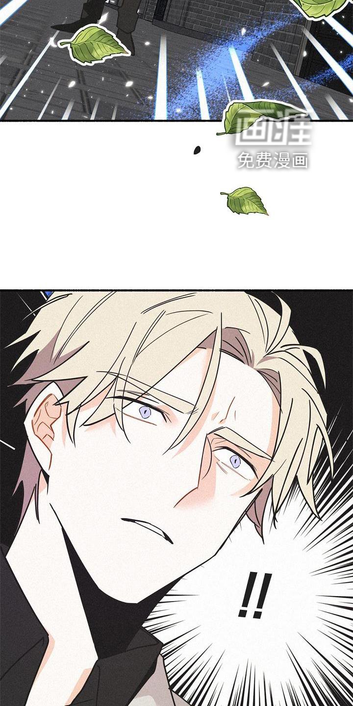 第33章：那个男人