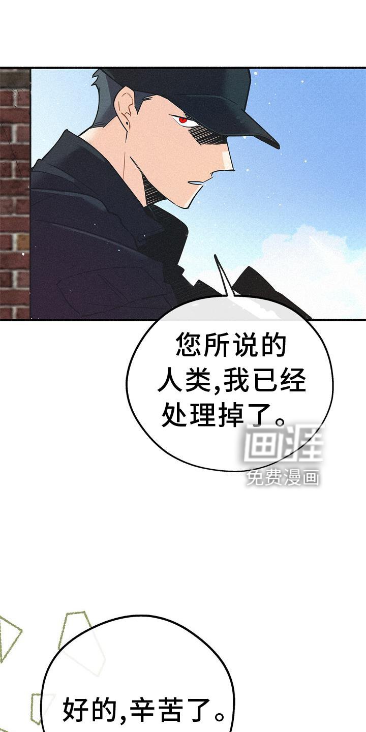 第33章：那个男人